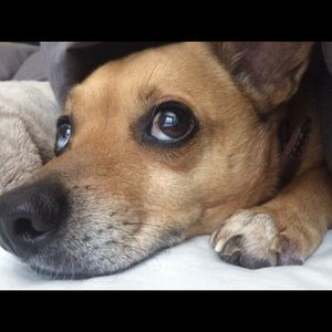 Meet your Posher, Mackensey